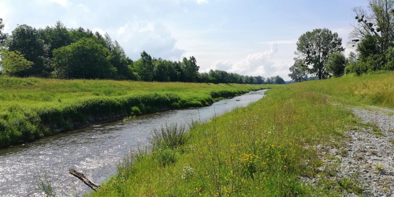 Ferienhaus Haemmerle'S Lustenau Dış mekan fotoğraf