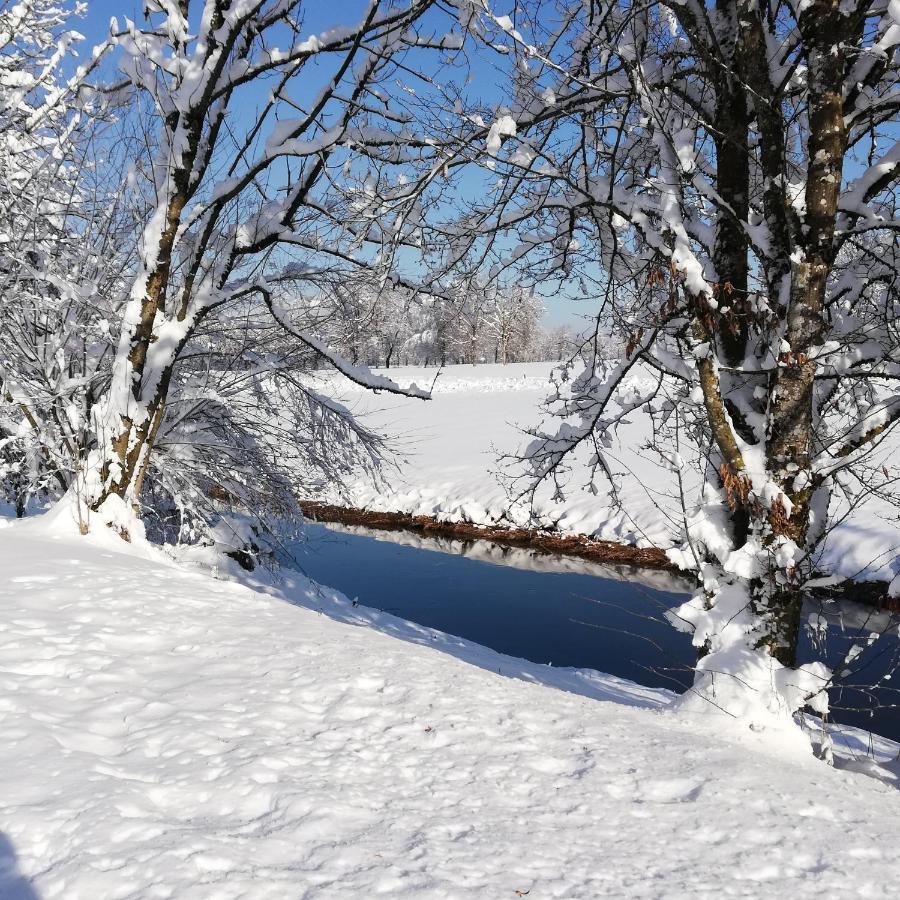 Ferienhaus Haemmerle'S Lustenau Dış mekan fotoğraf